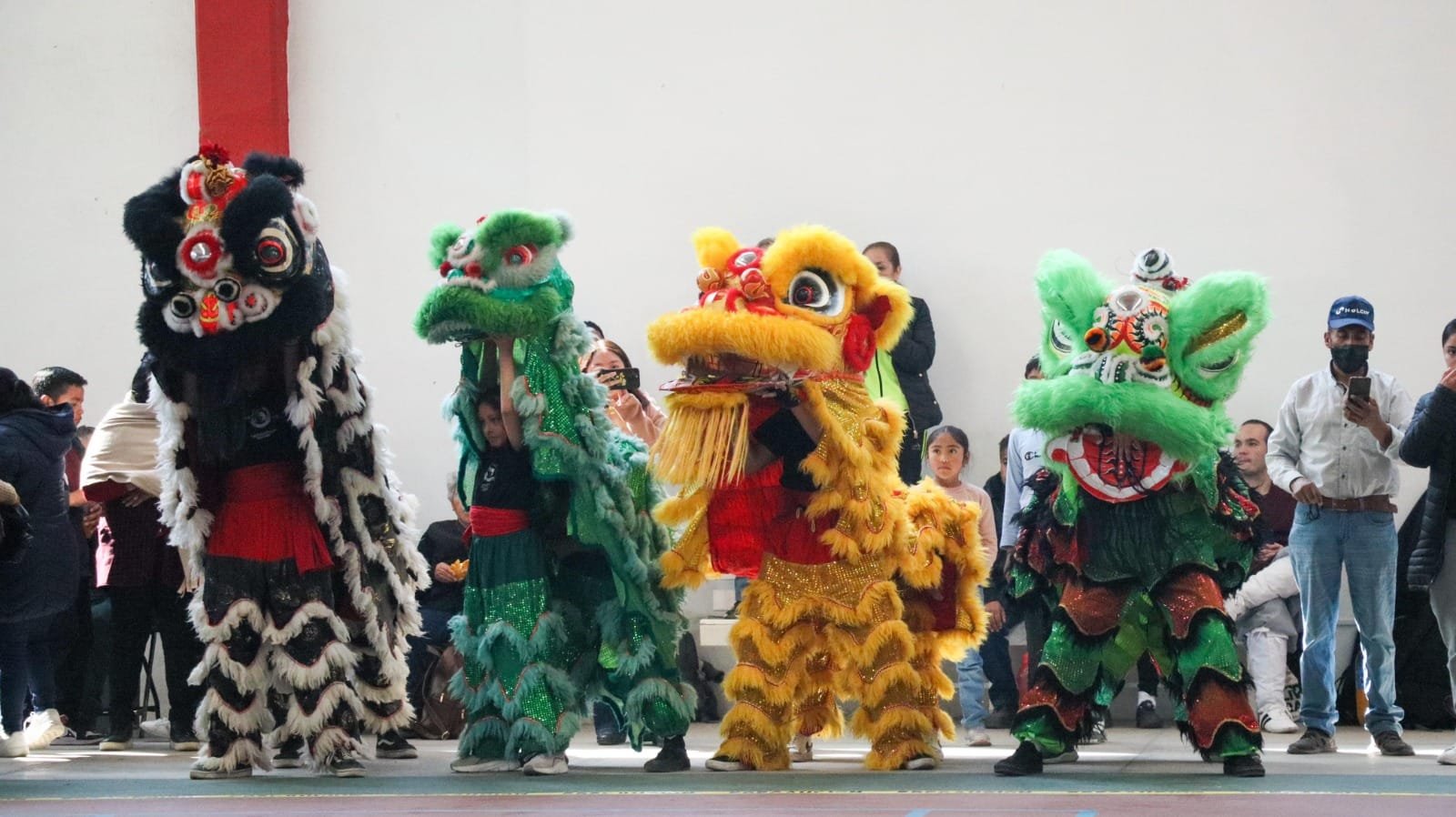 Regional de Wushu Toluca 2025: Más de 230 Atletas en un Espectáculo de Talento y Tradición